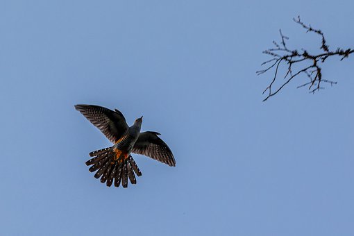 9�qŮ���� Ԓ���ĸ�Hԓ��ô��