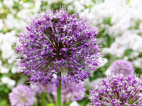 孩子不愿意寫作業的原因及解決方法