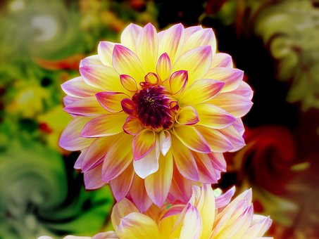 高三化學復習策略一