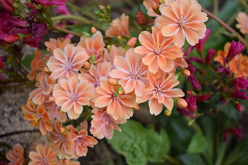 九年級的女孩子談戀愛了怎么辦