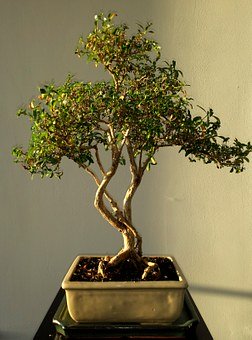 ��ν�QС�W�����W���}