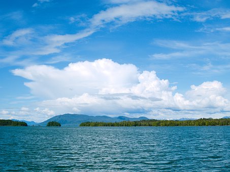 ����͵���֙C(j��)ȥ�W(xu��)У���L��(y��ng)ԓ��ô��