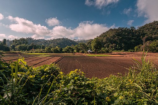 發現女兒初中談戀愛家長怎么處理