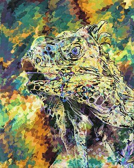 ����x���m�Ϻ��ӵļ�У���I