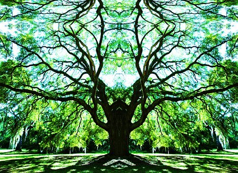 �ഺ�ڵĺ������慒�W���L��ԓ��ô��