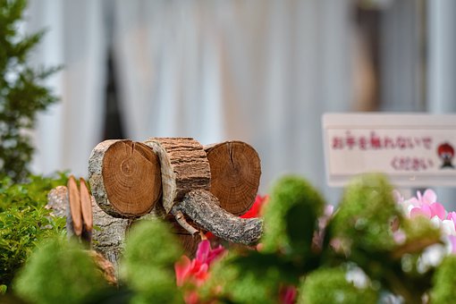 �������W���A��ČW������a��