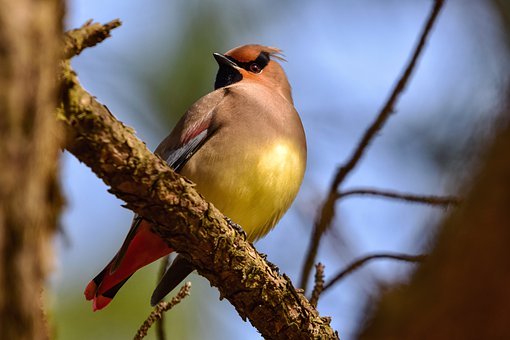 ���������x�ҳ��ߵ��뷨�r�����Բ�ȡ���½�������