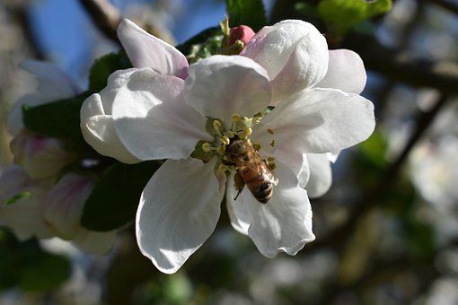 ���ӌW(xu��)��(x��)��(x��)�T������ô�k