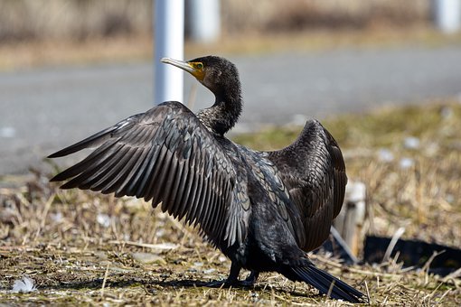 �п��Y���� �������ٽo�ķł���