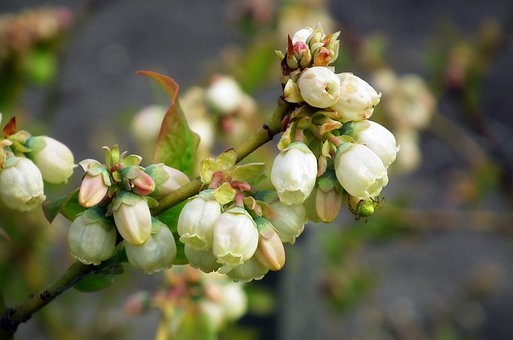 С�������Α�ԓ��ô����