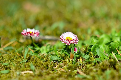 青少年學(xué)生逆反心理種種