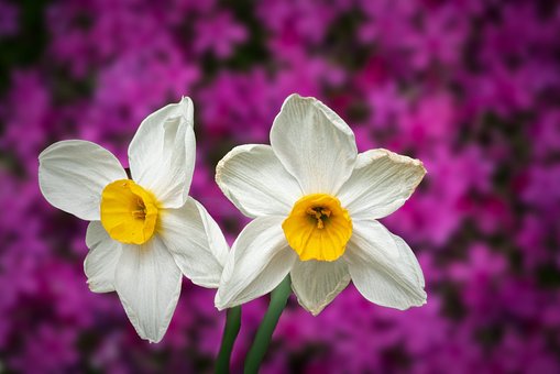 һλ���H�oŮ����36�l���h�ܾW�џ���