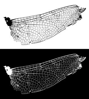 大學(xué)生“跑腿族”:學(xué)習(xí)還是第一位 跑腿只是嘗試