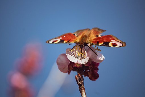 家長如何解決孩子厭學(xué)、不寫作業(yè)還撒謊的問題