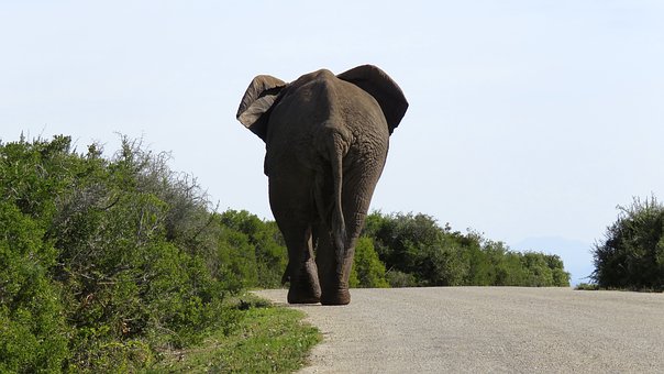 ���ϳ�һ�ĺ��Ӳ����όW��ô�k