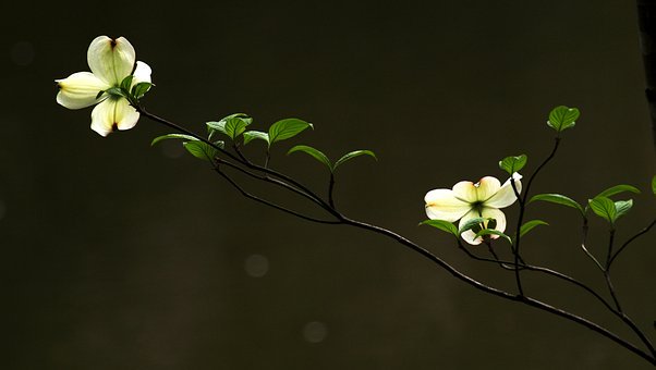 ���H����c�ഺ�ڵ�Ů����ͨ