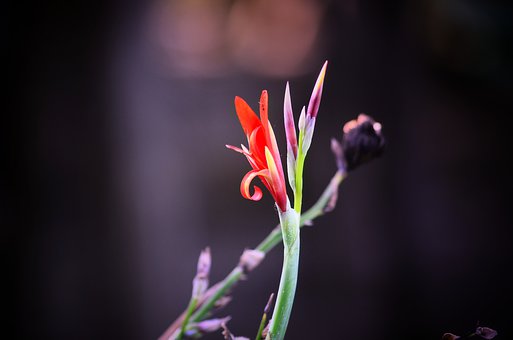 ���п����L����2�f���~�a�n�M ���ӳɿ���������