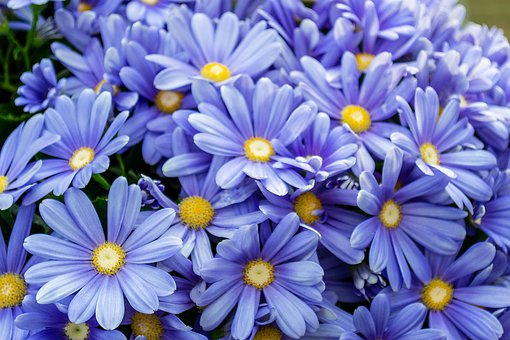 高一學(xué)生如何盡快適應(yīng)高中化學(xué)學(xué)習(xí)