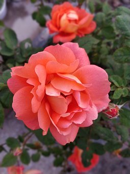 叛逆期孩子不想上學(xué)怎么辦家長怎么辦