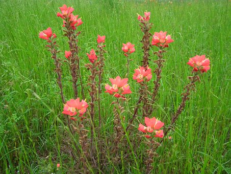 ��(chu��ng)�I(y��)���Ǿ͘I(y��)�y���L(f��ng)�� ��W(xu��)�����خ�(d��ng)�ϰ�