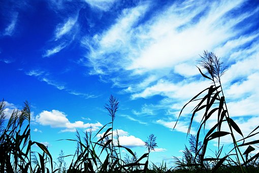 孩子上課注意力不集中的原因及解決方法