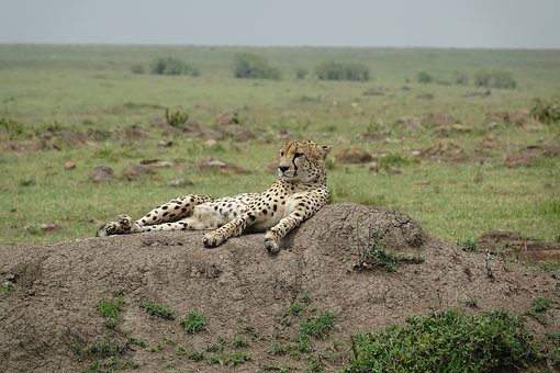 ���L�������ӽ��]