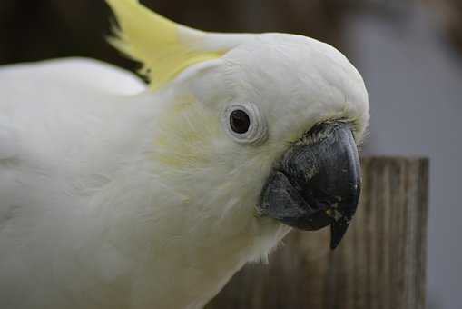 �F(xi��n)�ڳ��к����б�Ҫ���֙C��