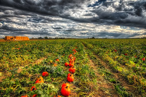 ���ӳ�����ٸ�ĸԓ��ô̎��