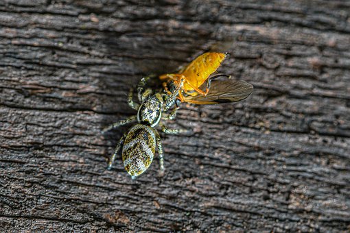 ���B(y��ng)���ӵČW���dȤ��������