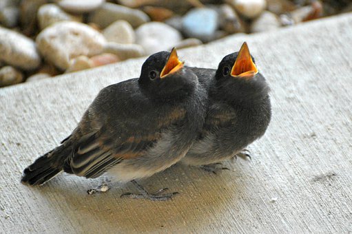 ������͵͵���֙C��ô̎��