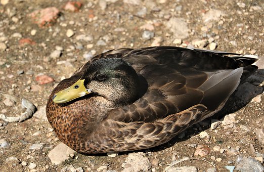 ���A���������Lԇ�ЌW���] ͨ�^�ߟo��Pԇ