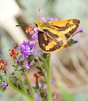 �����W(xu��)���ɿ��½����L��ô�k