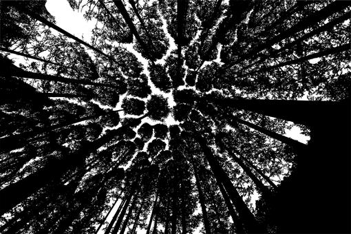 ����͵�|���f�e�ҽ̲�����ô�k