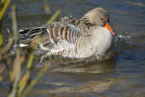 С����ʲô�������I