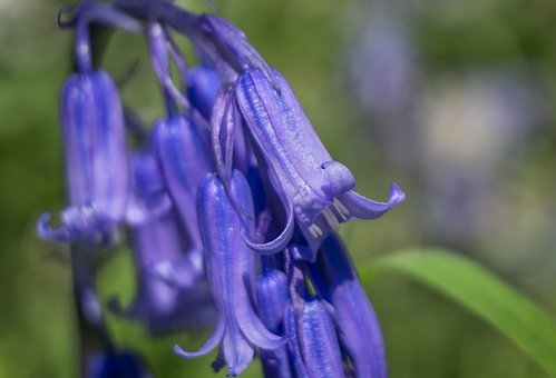 �_�W�ˣ��W��׌��������