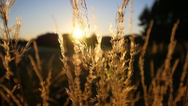 六年級孩子在學校被孤立怎么辦