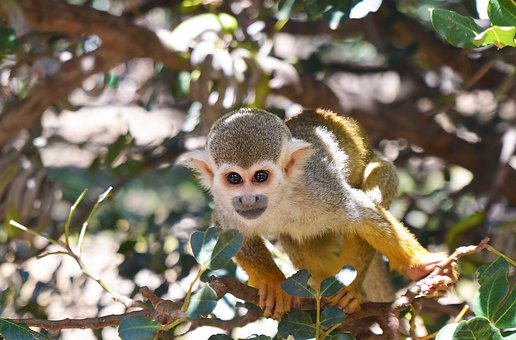 高二孩子戀愛了怎樣勸導
