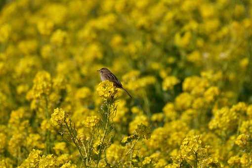 ��������εø߷֣����Y��ԇ���}��������������r