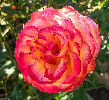 ���Кvʷ����֪�R�c(di��n)����