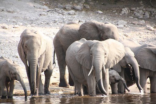 14�q���Ӵ��R��ĸˤ�|����ô�k