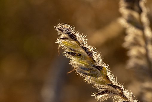 做一個(gè)優(yōu)秀的大學(xué)生家教,需要注意哪些事項(xiàng)?