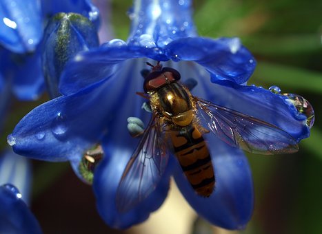 ���L�����c�����������������ĵ��w��