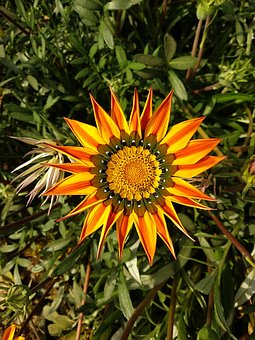 ���������W���L��ԓ��ô�k