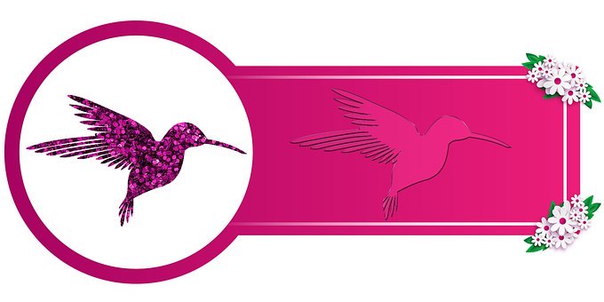 初中優秀作文:讓音樂走進心靈