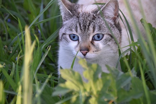 ������ٵ�Σ���c���L�đ�������