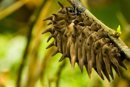 兒子談戀愛了媽媽怎么教育