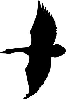 2008年考研網(wǎng)上報(bào)名之前的十大注意事項(xiàng)