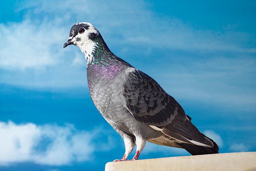 ������w�ϵK���όW��ô�k