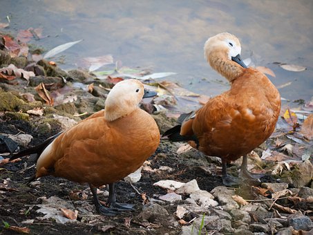 ������Ҫ��׌�����h�x��׃����