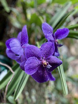 ���꼉���Ӳ�Ը���όW��ô�k